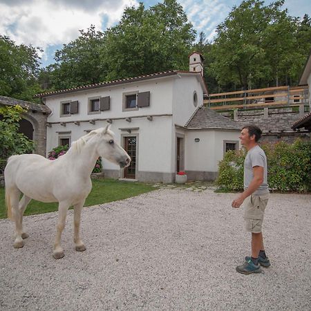 Tmbin'S Barn - Nature, Horses, Family Sezana ภายนอก รูปภาพ