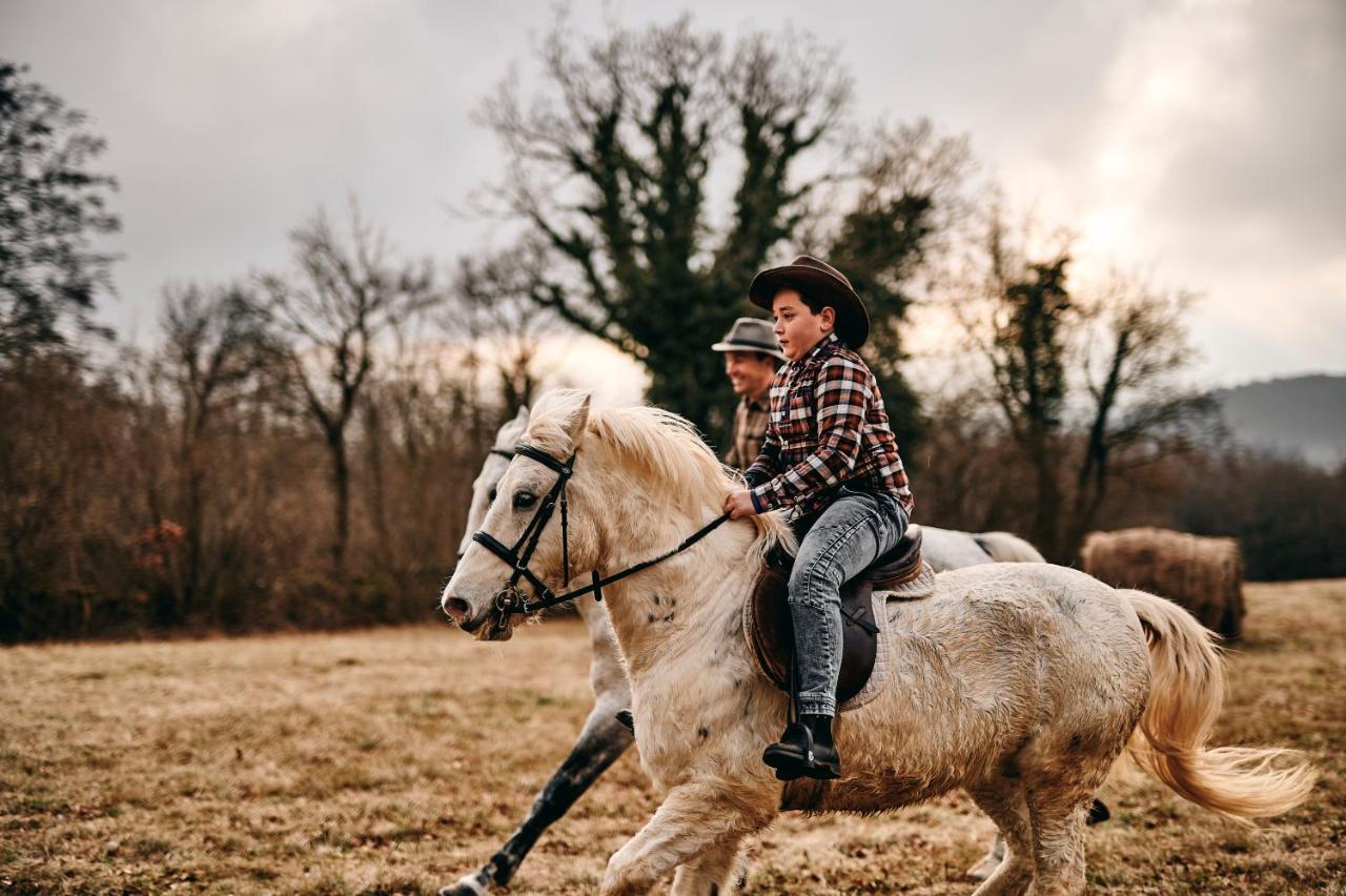 Tmbin'S Barn - Nature, Horses, Family Sezana ภายนอก รูปภาพ