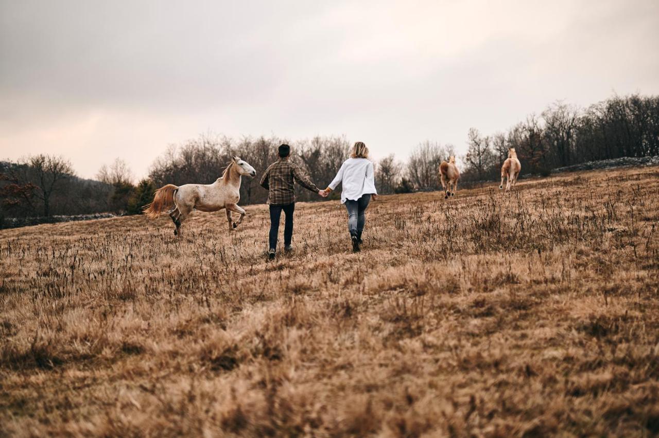 Tmbin'S Barn - Nature, Horses, Family Sezana ภายนอก รูปภาพ