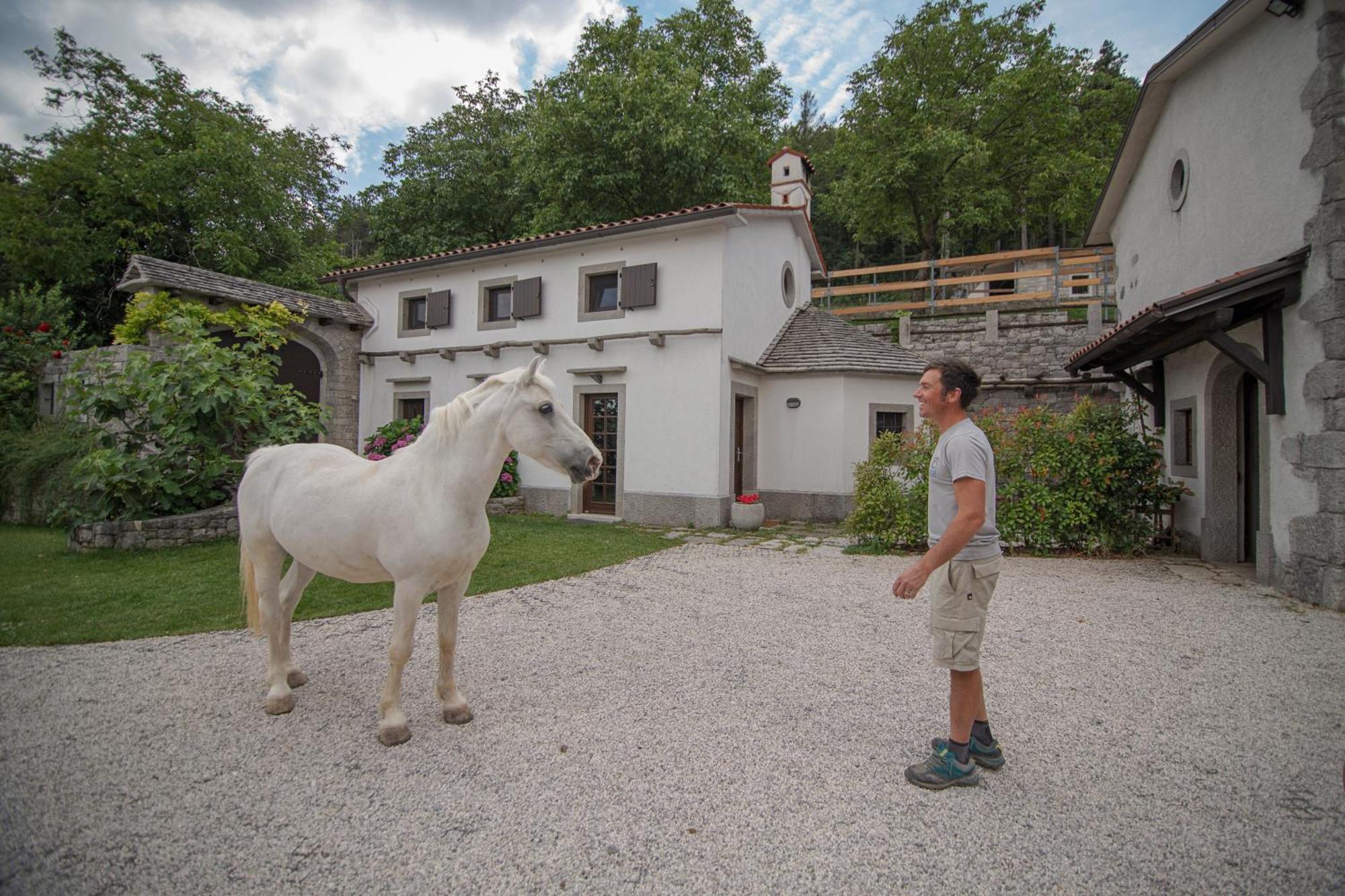 Tmbin'S Barn - Nature, Horses, Family Sezana ภายนอก รูปภาพ